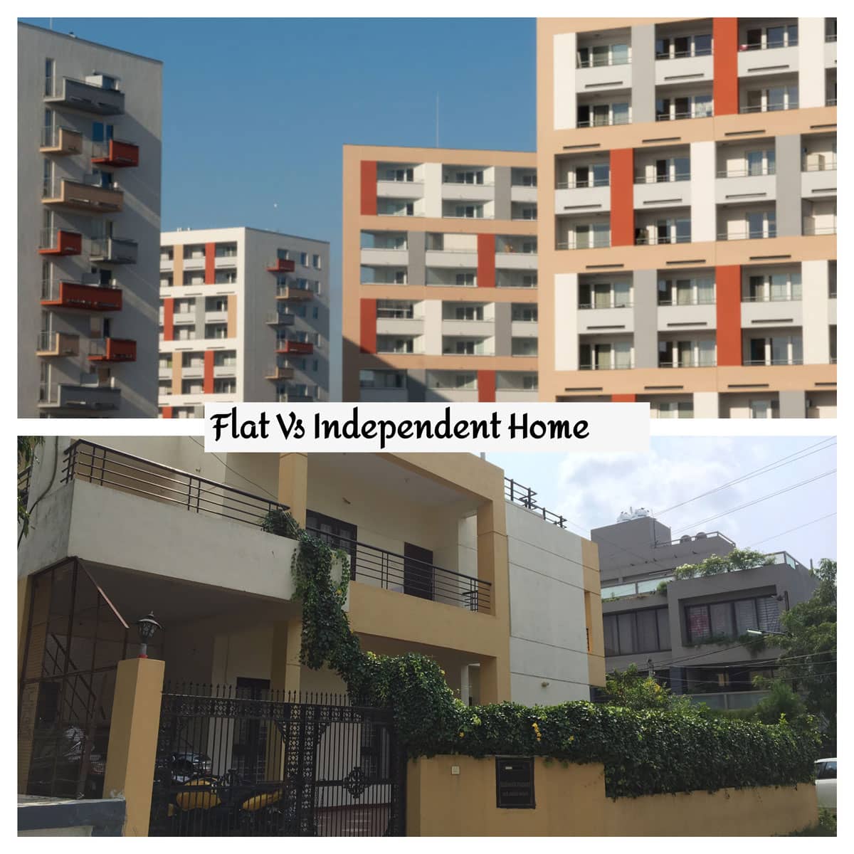 FLAT OR INDEPENDENT HOME IN INDORE