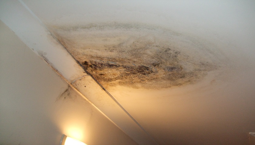 Water Seepage in Homes- Reasons and Fixes